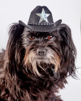 Cowboy Hat for Dogs in Black or Pink