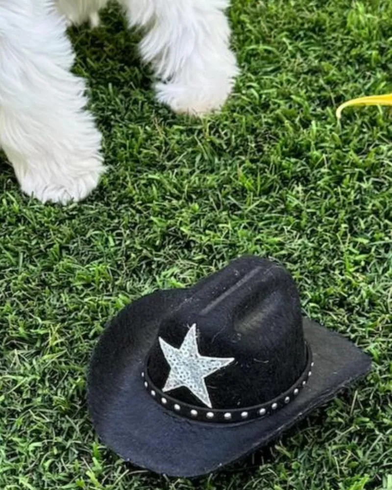 Cowboy Hat for Dogs in Black or Pink