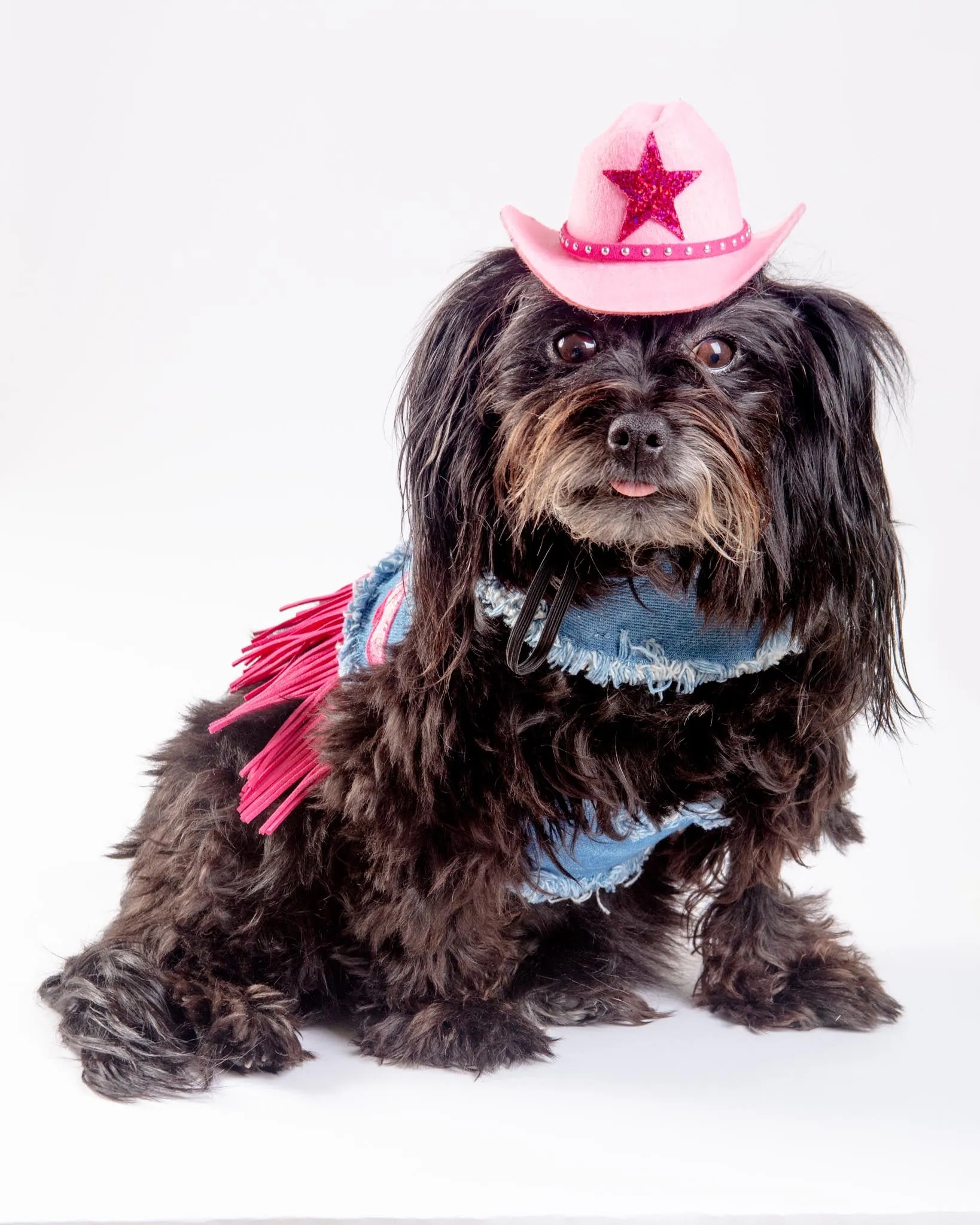 Cowboy Hat for Dogs in Black or Pink